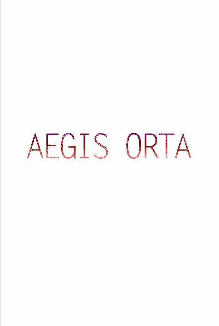 aegis-orta/1