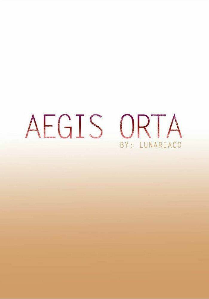 aegis-orta/3