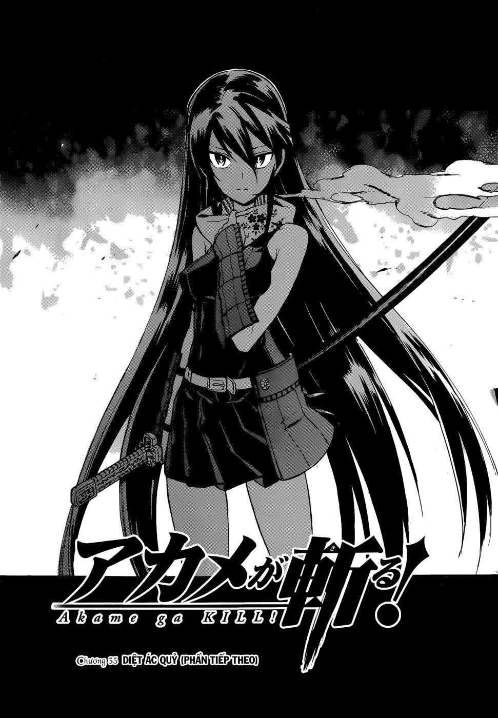 akame-ga-kiru/3