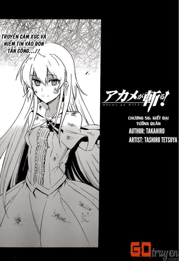 akame-ga-kiru/19