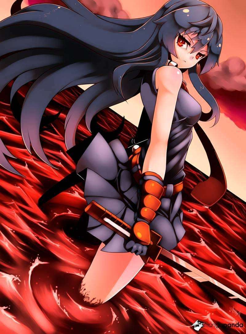 akame-ga-kiru/3