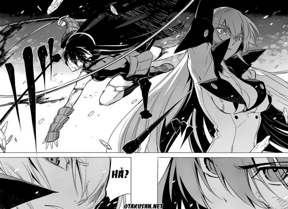 akame-ga-kiru/35