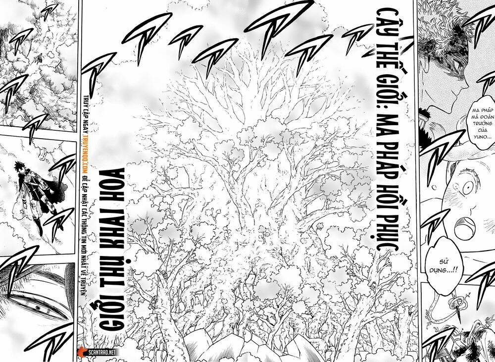 black-clover-phap-su-khong-phep-thuat/4