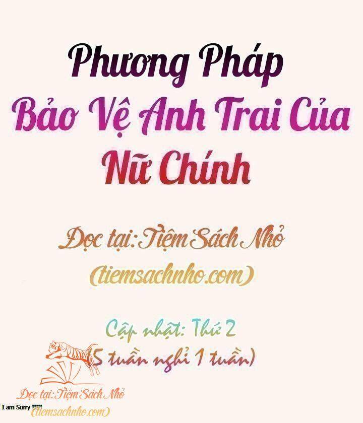 cach-bao-ve-anh-trai-cua-nu-chinh/2