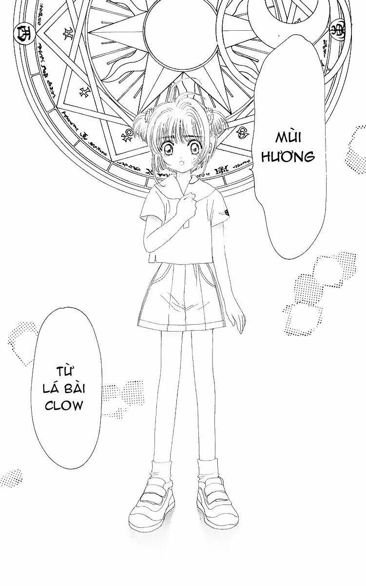 card-captor-sakura/23