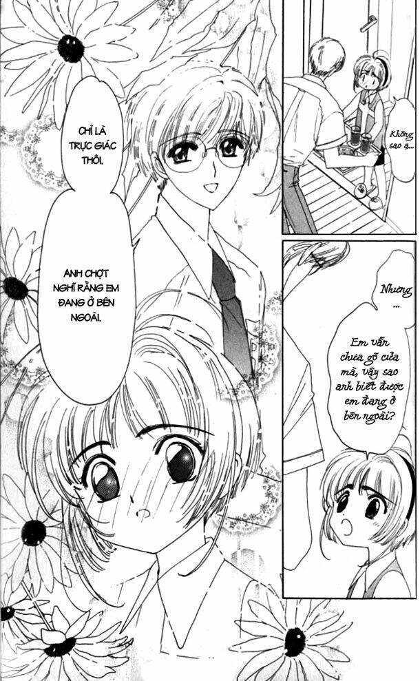 card-captor-sakura/14