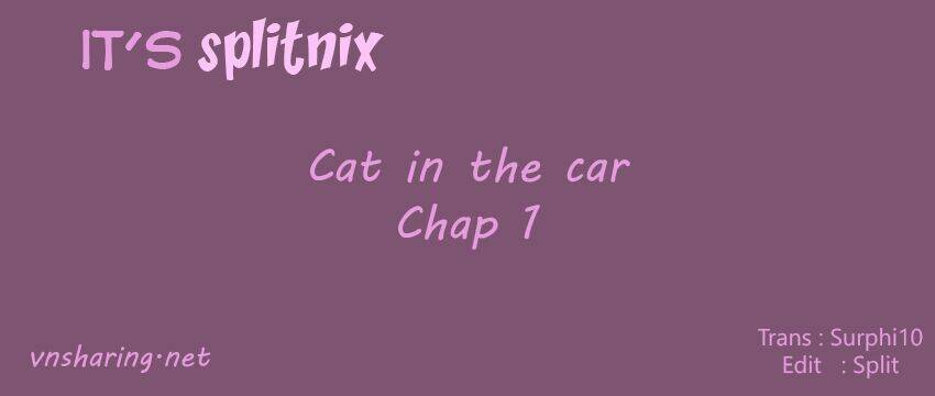 cat-in-the-car/0