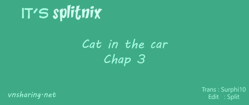 cat-in-the-car/0