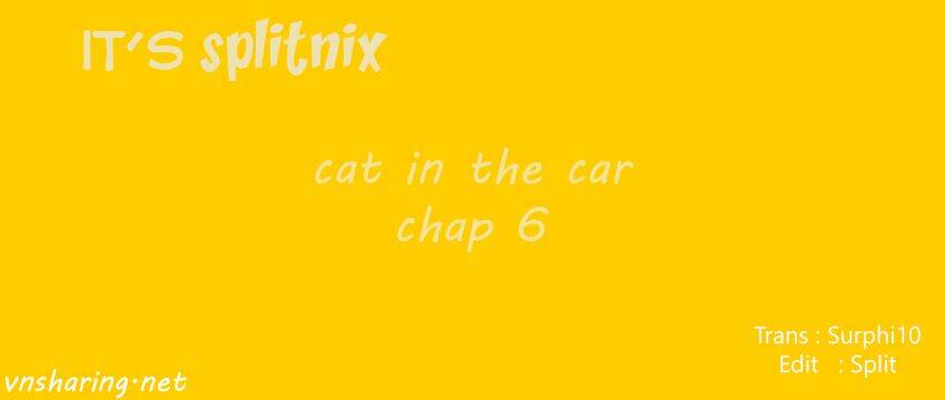 cat-in-the-car/0