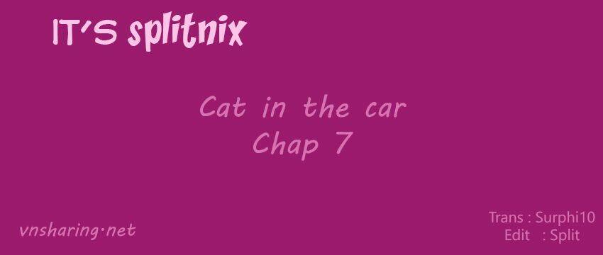 cat-in-the-car/0