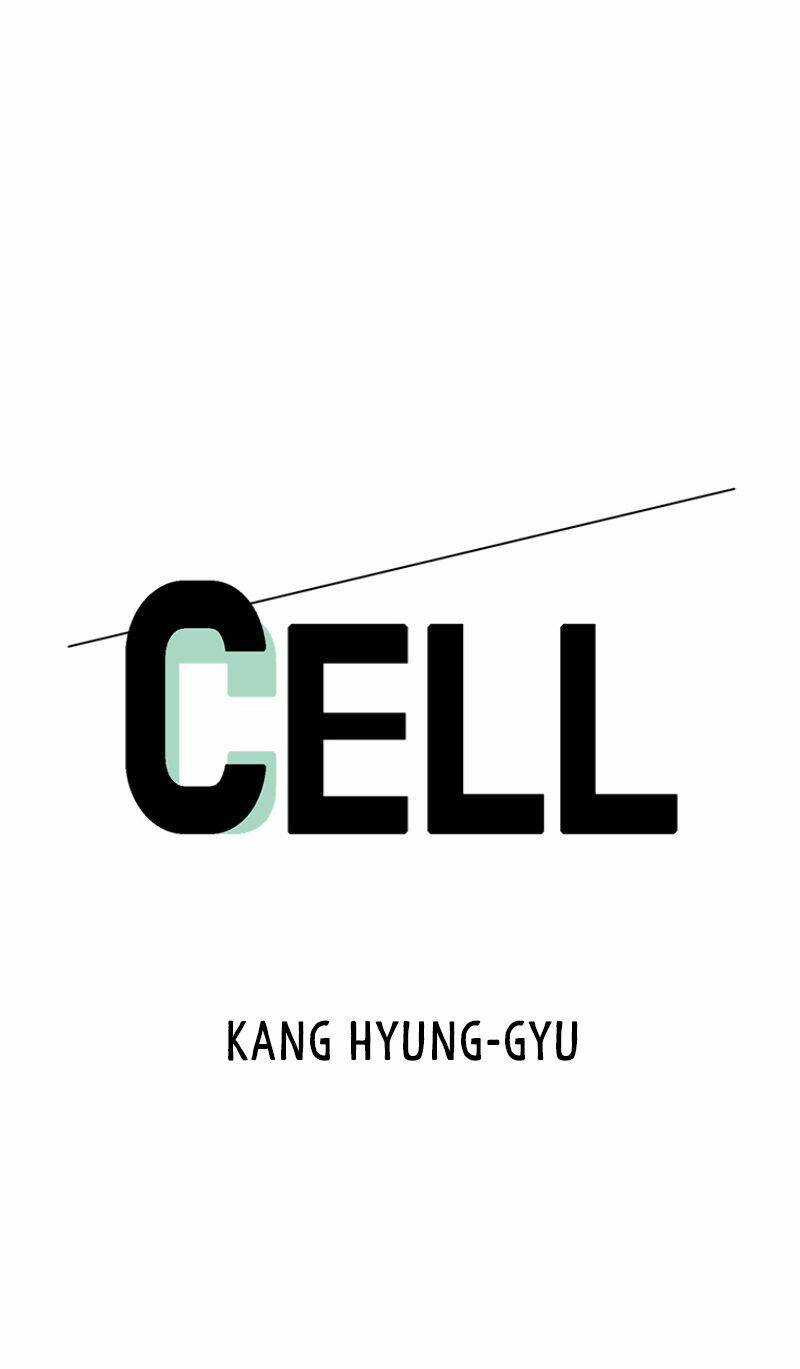 cell/31