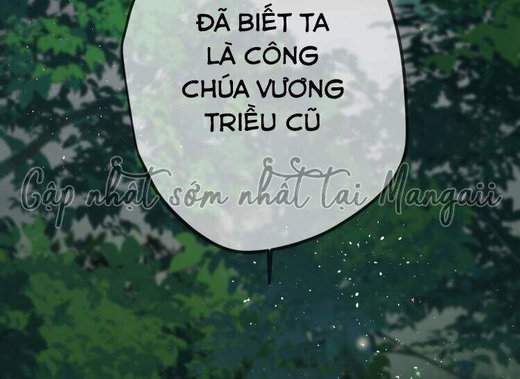 cong-chua-phao-hoi-muon-tuy-tien-den-cung/7