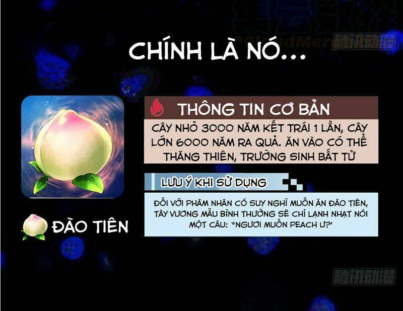 cua-hang-thong-thien-gioi/2