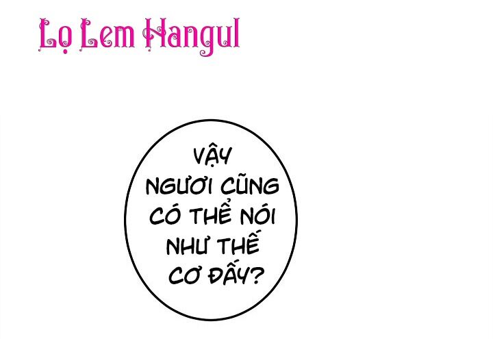 cuoc-hon-nhan-gia-doi/72