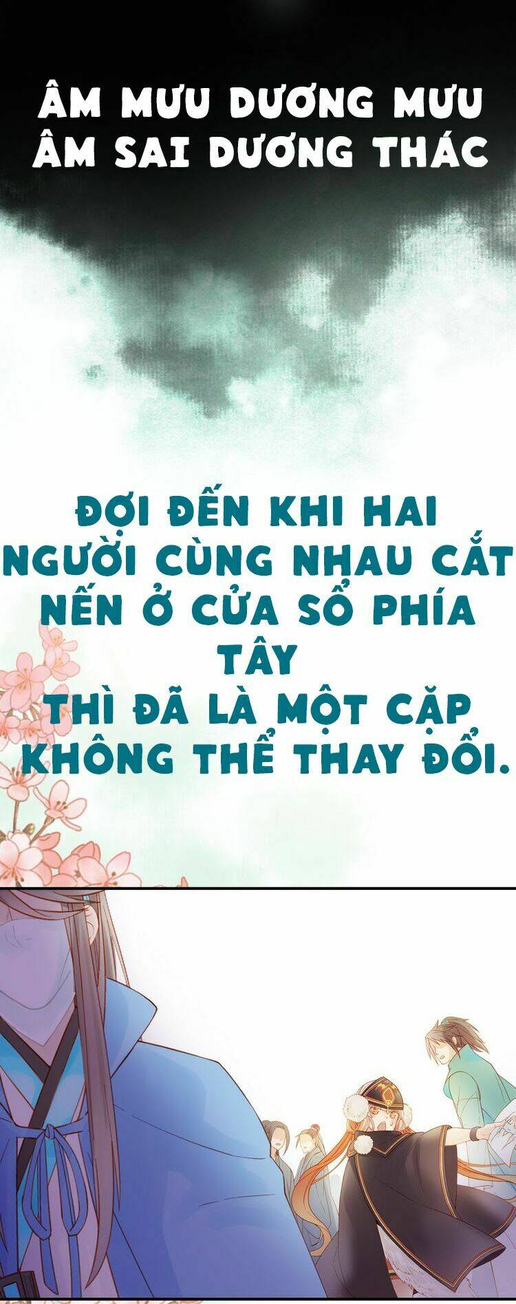 cuop-lay-nang-dau-mung-nam-moi/12