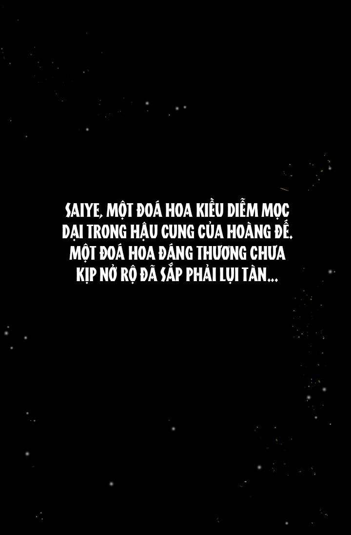 doa-hoa-kieu-diem-cua-hoang-de/5