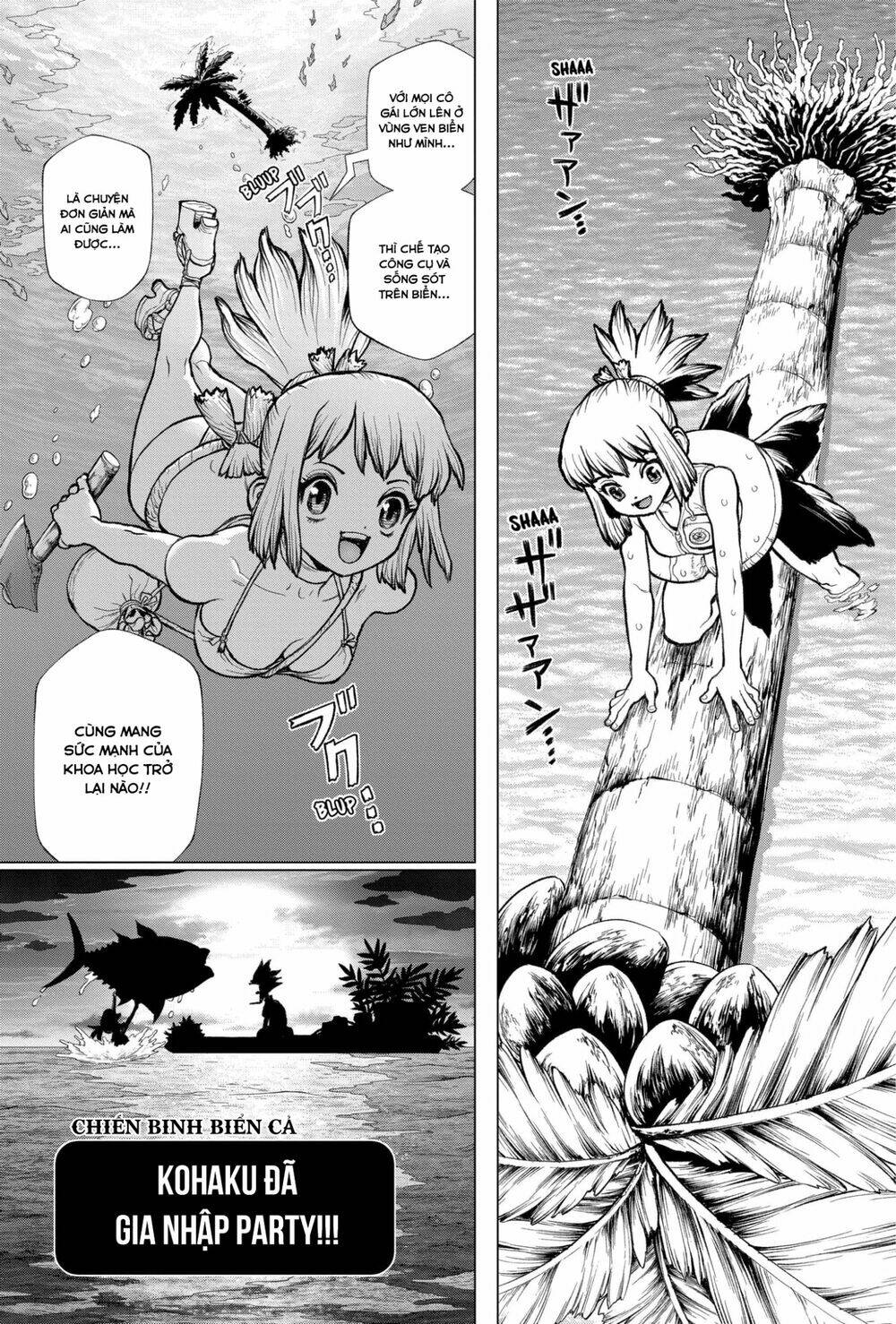 dr-stone-hoi-sinh-the-gioi/22