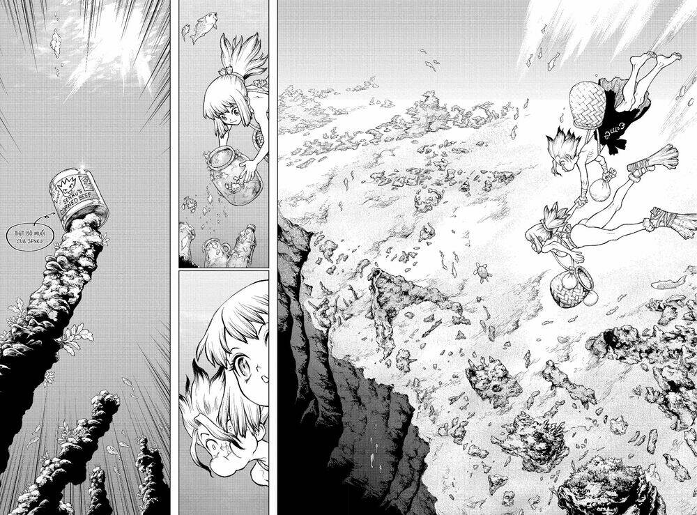 dr-stone-hoi-sinh-the-gioi/33