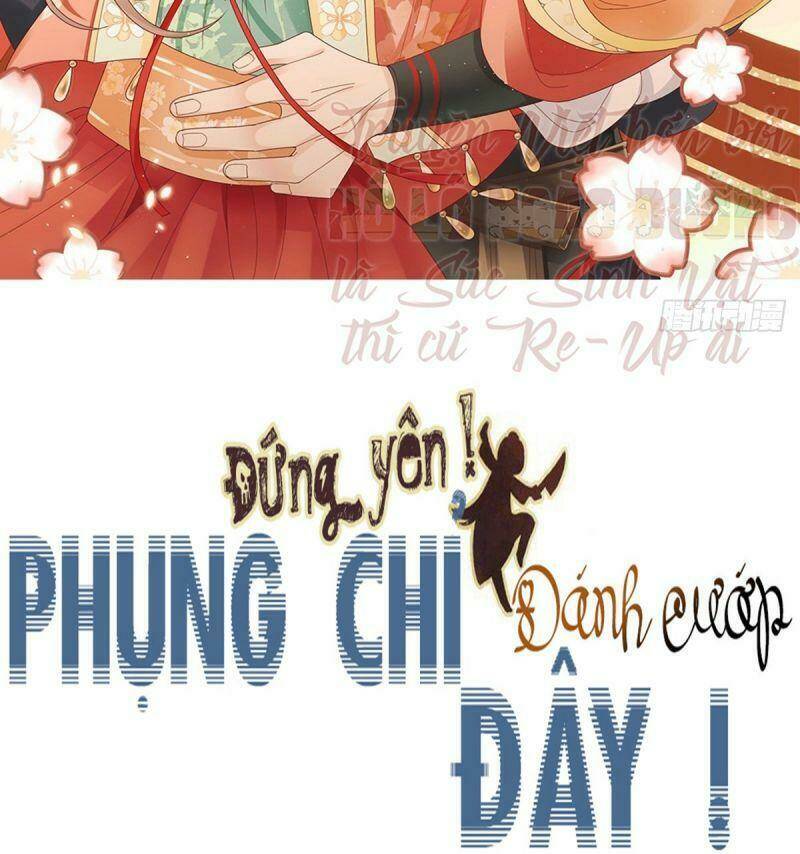 dung-yen-phung-chi-danh-cuop-day/1