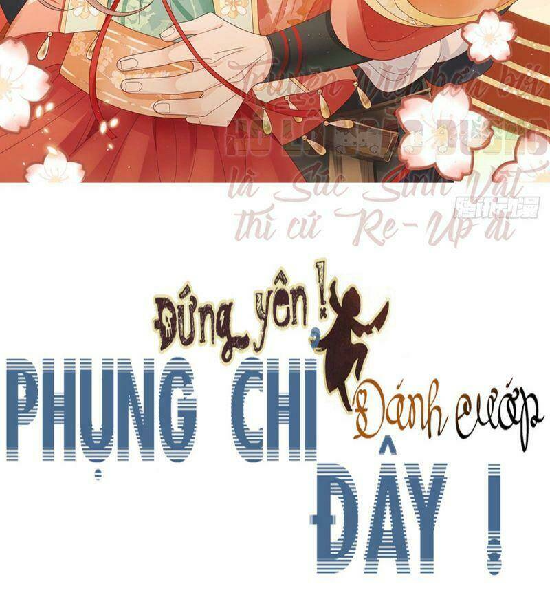 dung-yen-phung-chi-danh-cuop-day/1