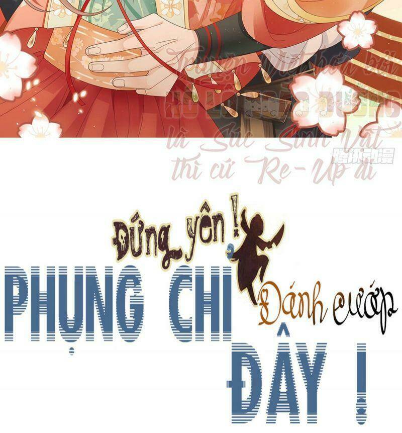 dung-yen-phung-chi-danh-cuop-day/1