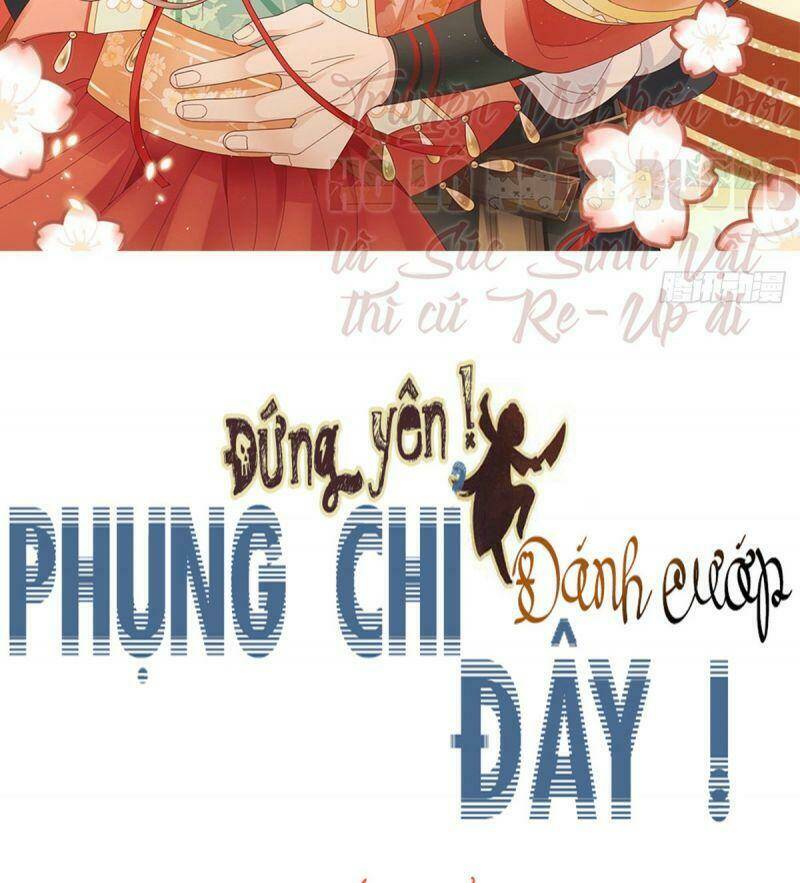 dung-yen-phung-chi-danh-cuop-day/1