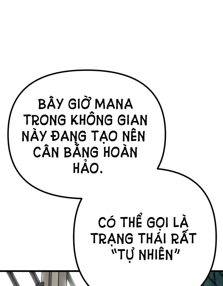 duoi-bong-cay-soi/36