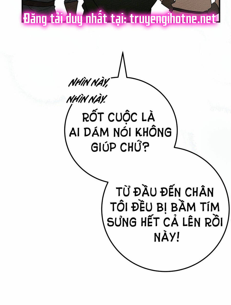 duoi-bong-cay-soi/17