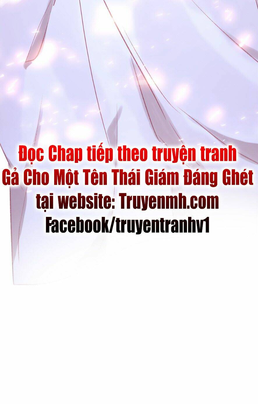 ga-cho-mot-ten-thai-giam-dang-ghet/20