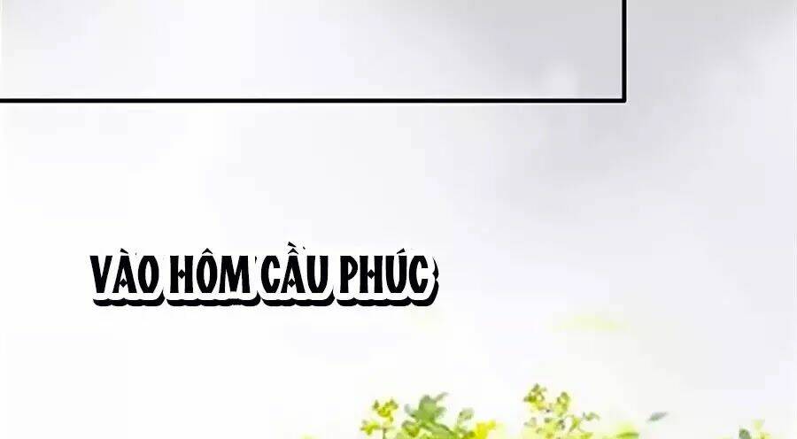 gian-phi-nhu-thu-da-kieu/31