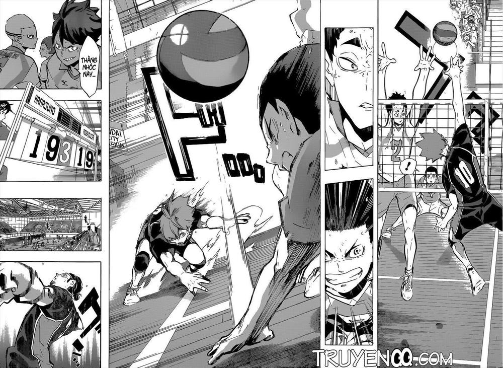 haikyuu/11