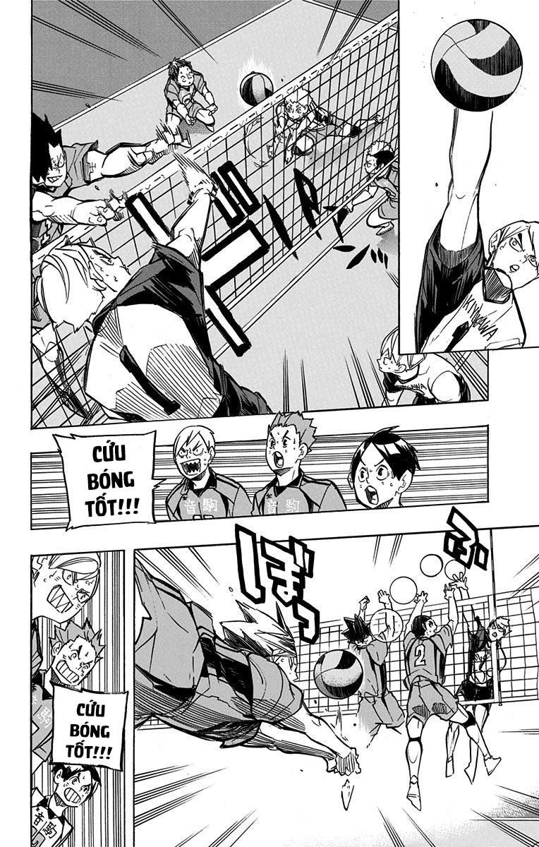 haikyuu/11