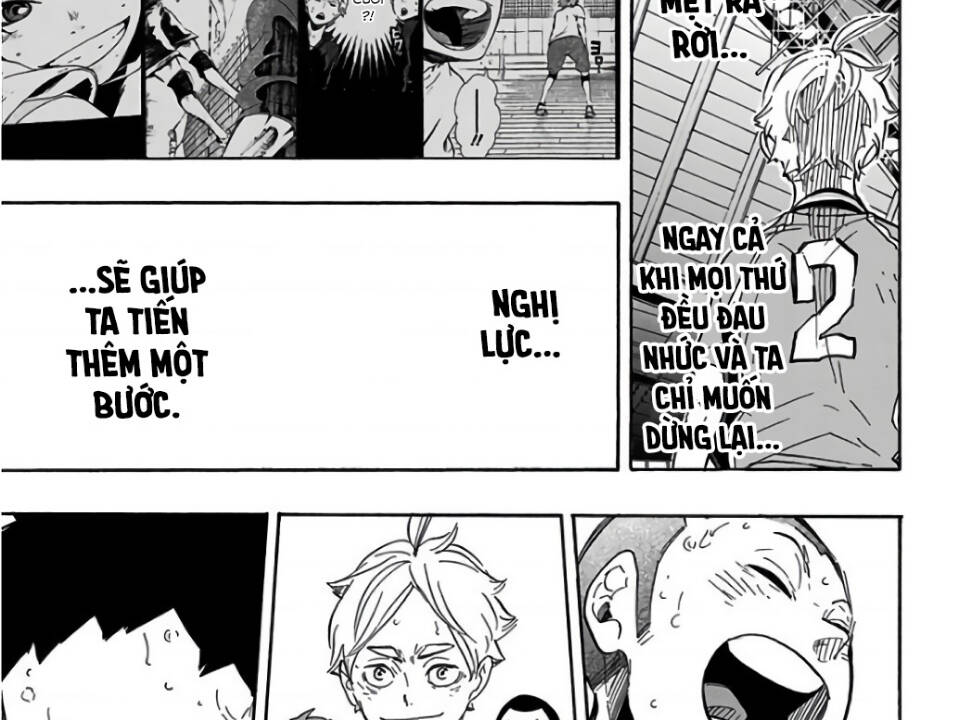 haikyuu/31