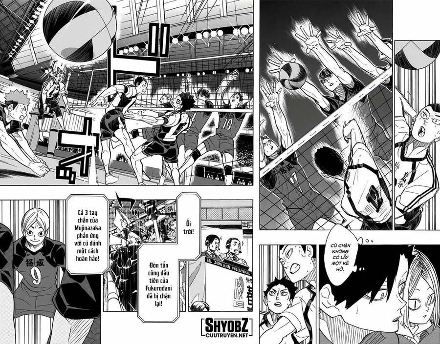 haikyuu/11