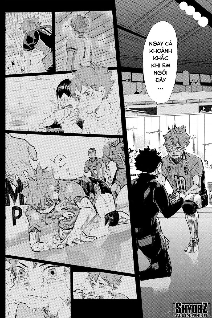 haikyuu/11