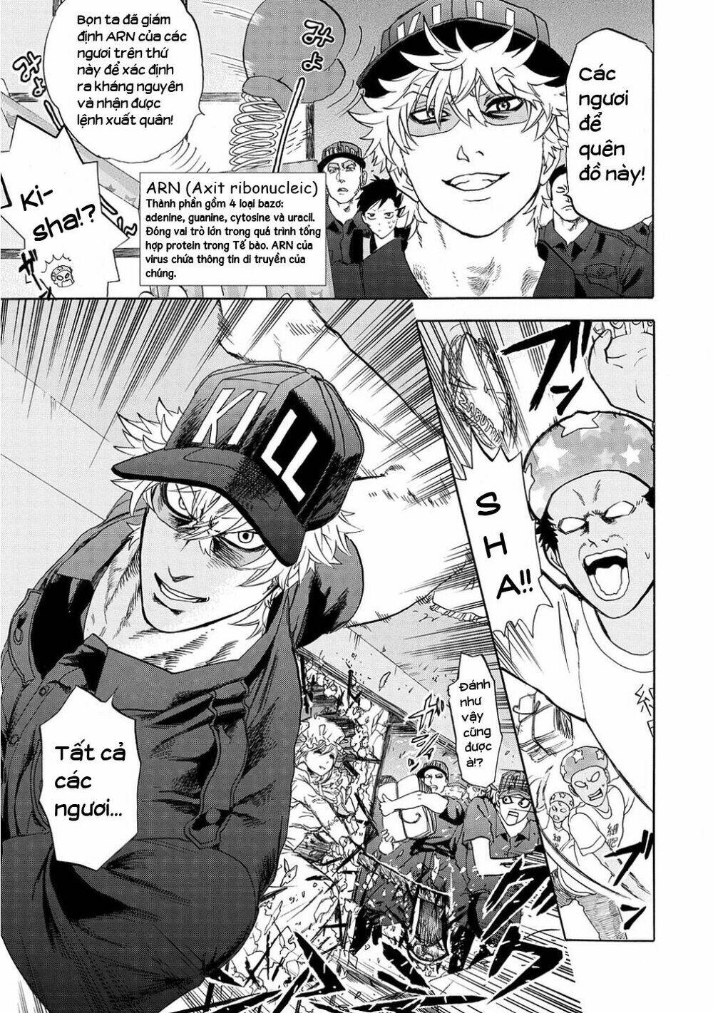 hataraku-saibou/22