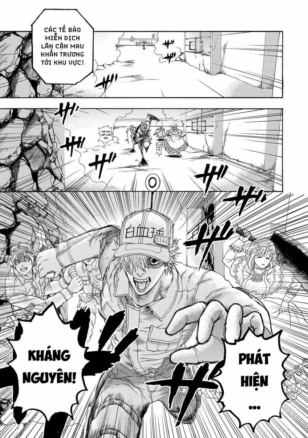 hataraku-saibou/24