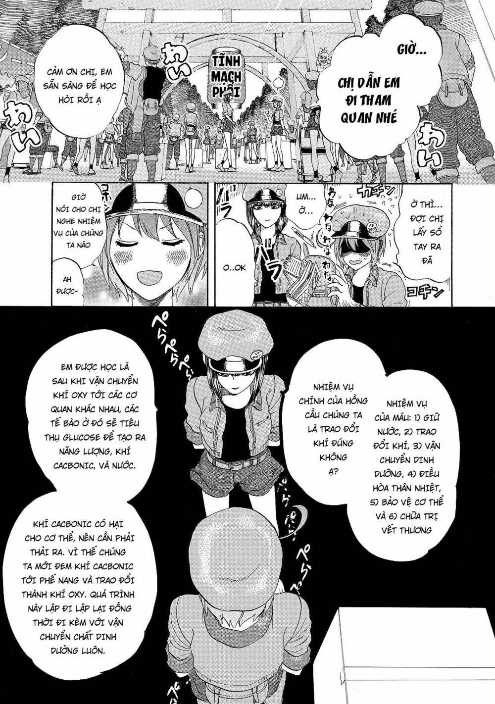 hataraku-saibou/4