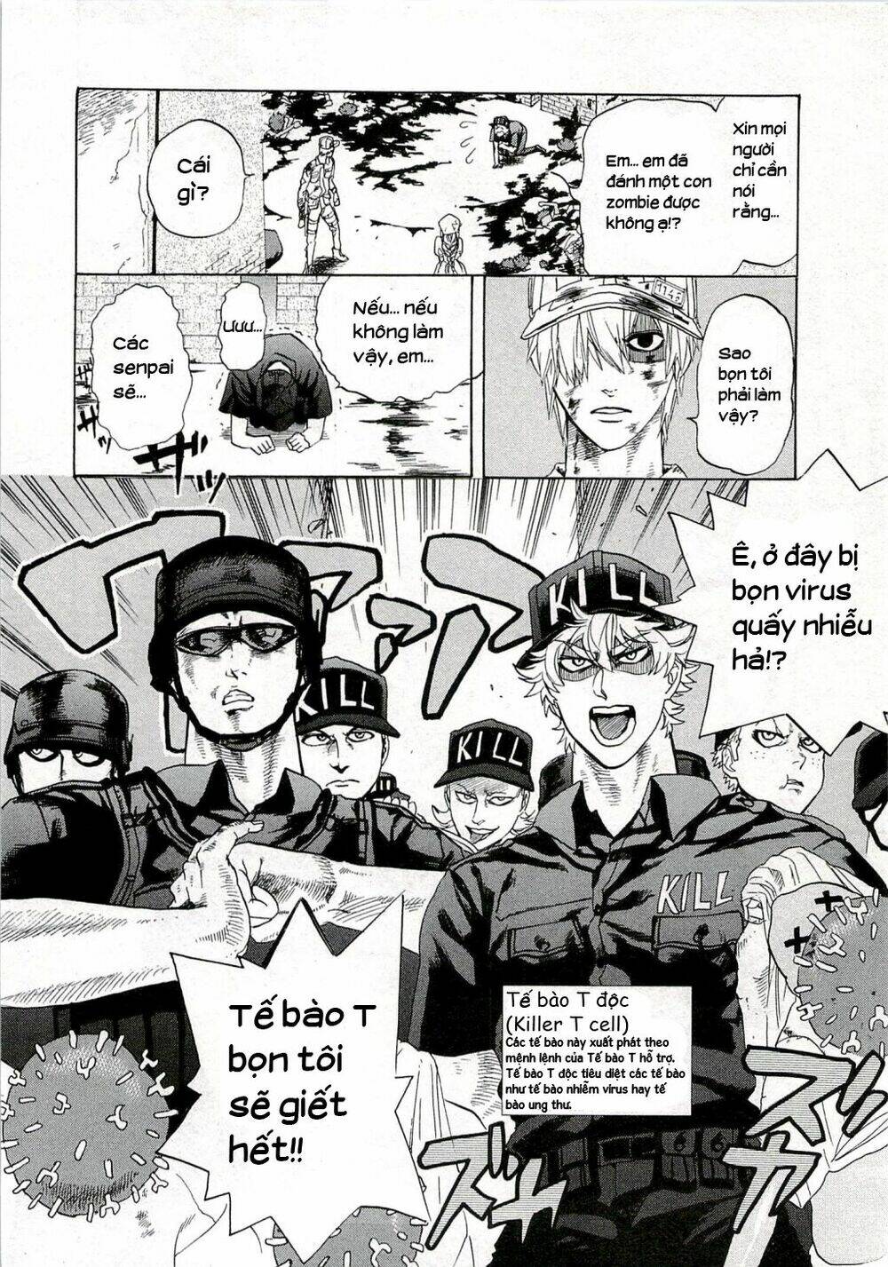 hataraku-saibou/12