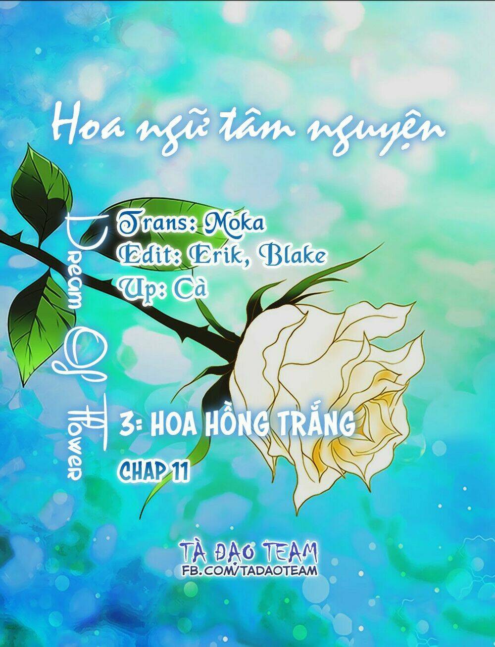 hoa-ngon-tam-nguyen/1