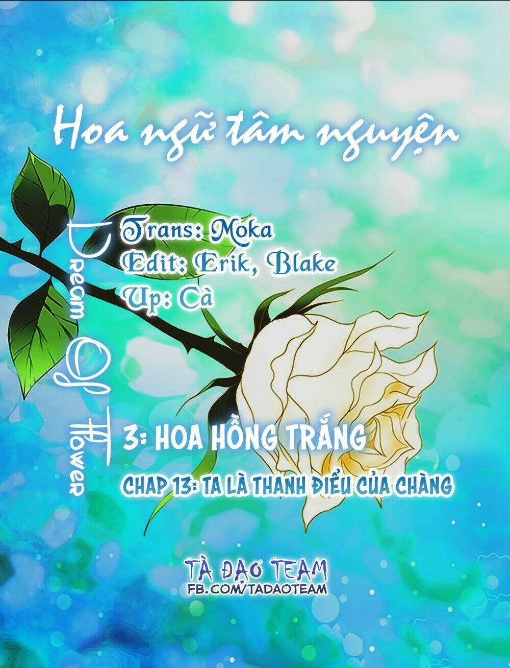 hoa-ngon-tam-nguyen/1