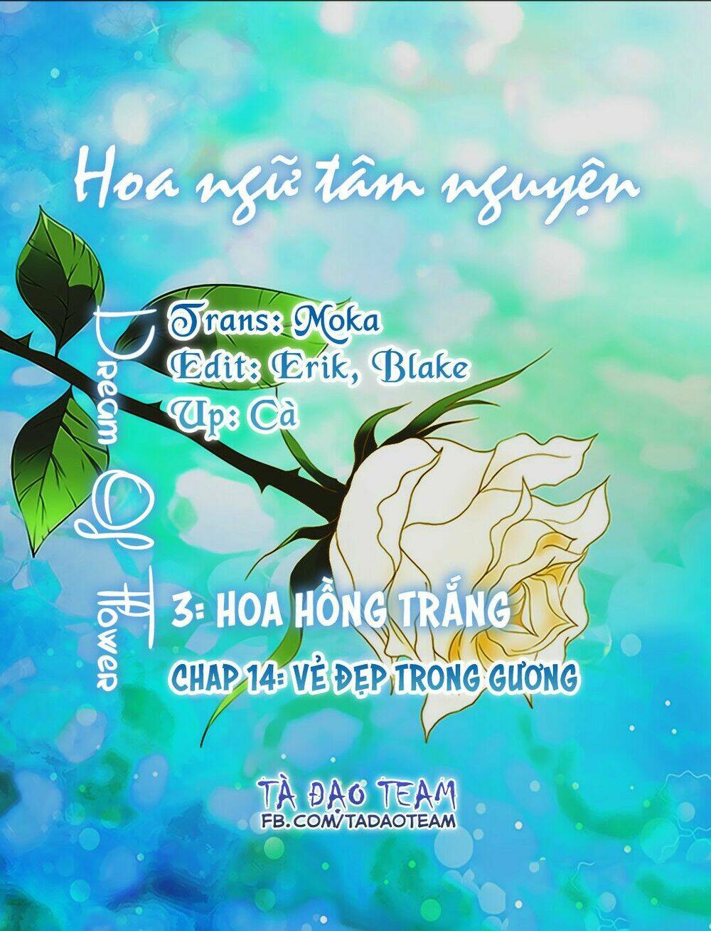 hoa-ngon-tam-nguyen/1