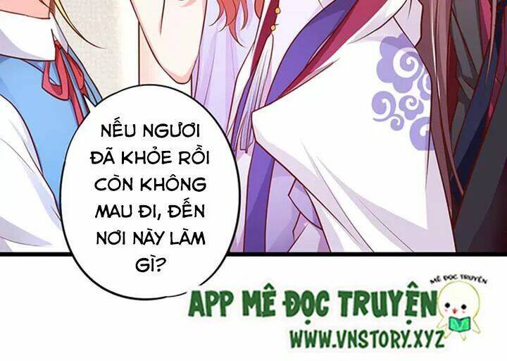 huyet-toc-dang-yeu/47