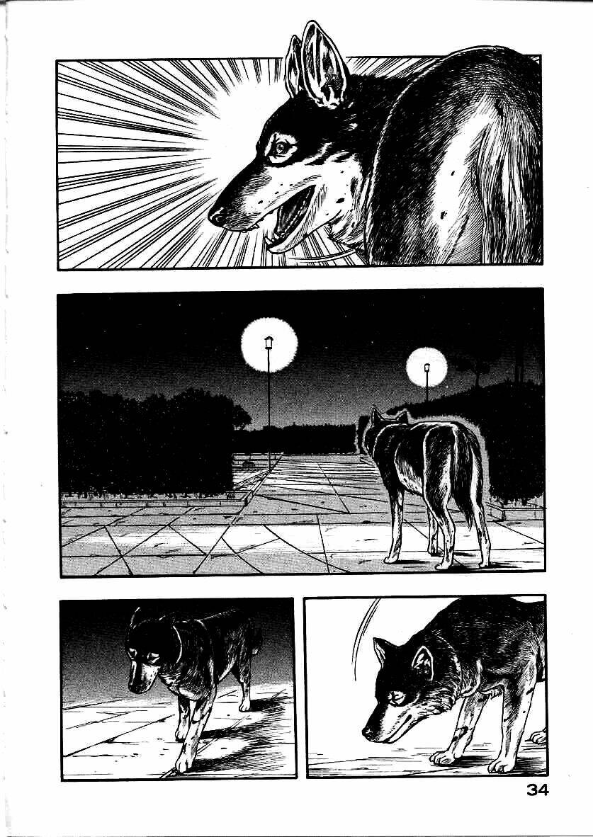 inugami/36