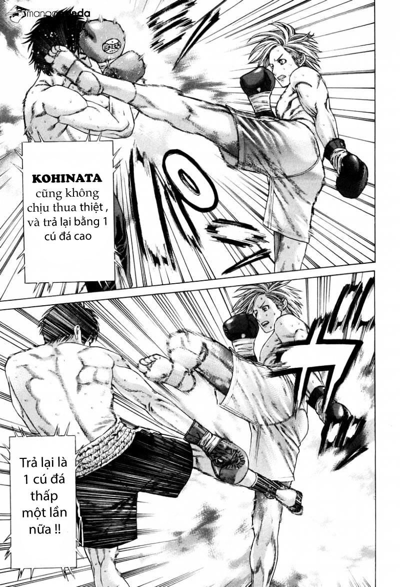 karate-shoukoushi-kohinata-minoru/2