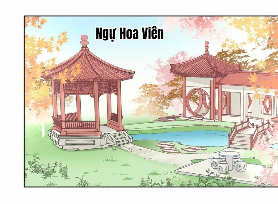 kieu-ngao-vuong-gia-chung-dien-phi/7