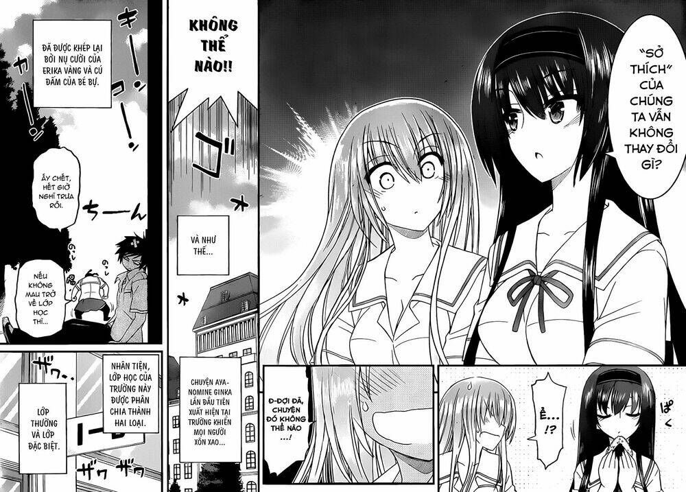 kin-no-kanojo-gin-no-kanojo/31