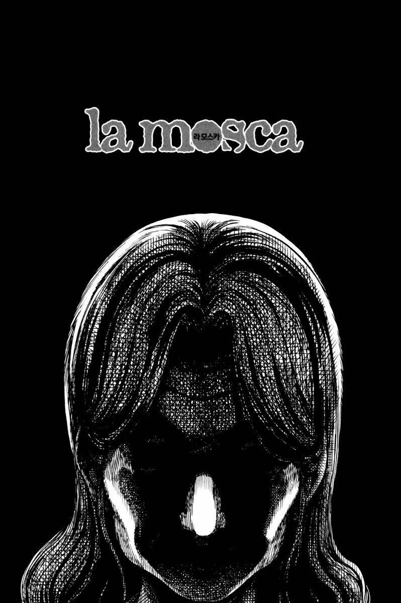 la-mosca/53