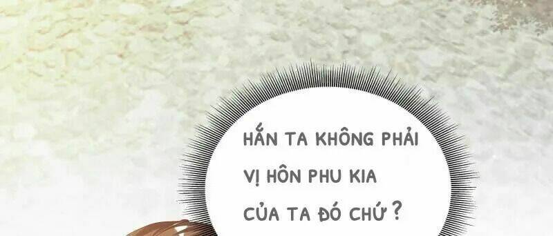 lieu-cung-phong-hoa/1