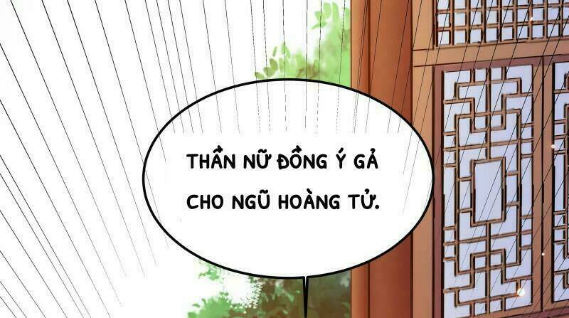 lieu-cung-phong-hoa/27